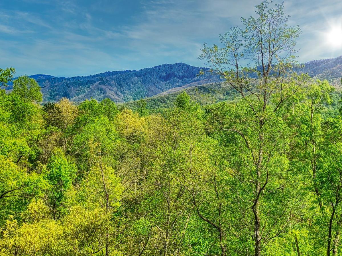 개틀린버그 Amazing Views 빌라 외부 사진